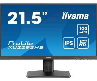 IIYAMA 22