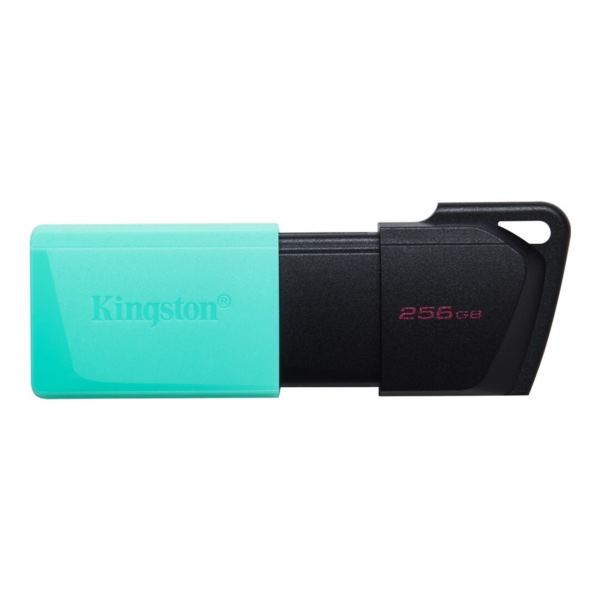 Kingston 256 GB 3.2 Gen 1 USB Flash Drive, DataTraveler Exodia M